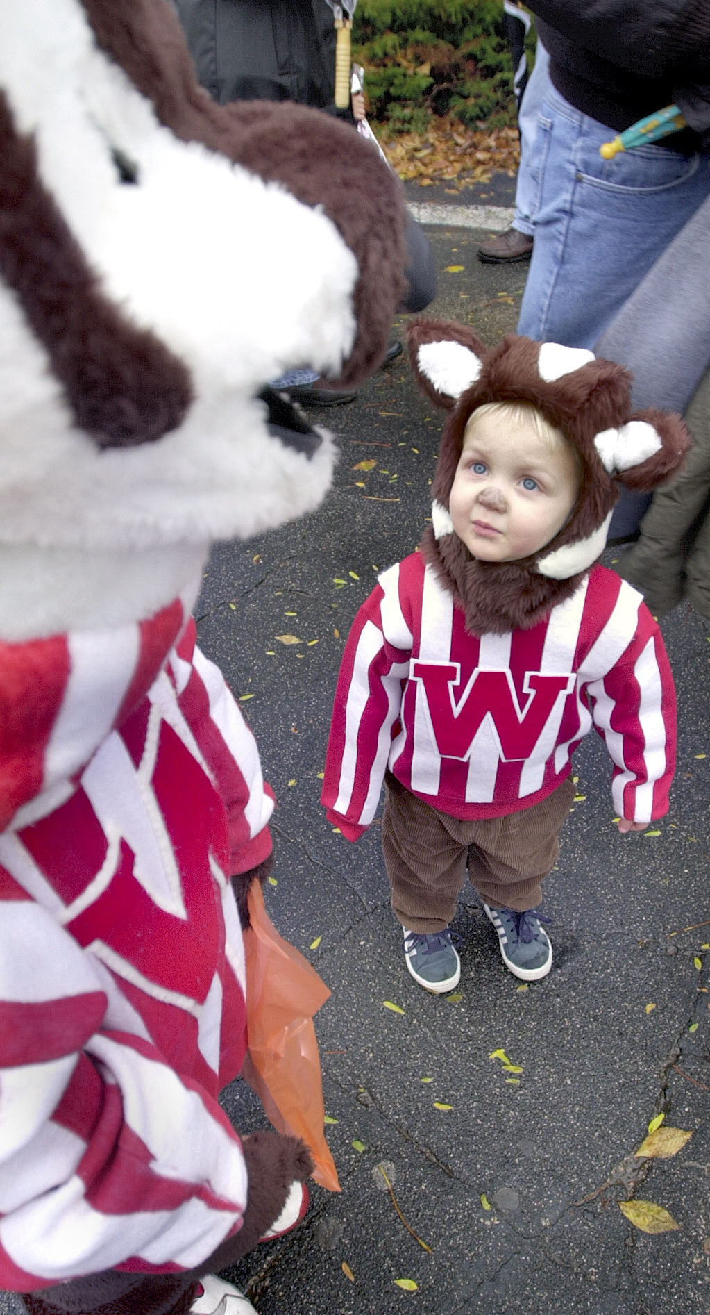 Bucky meets his match